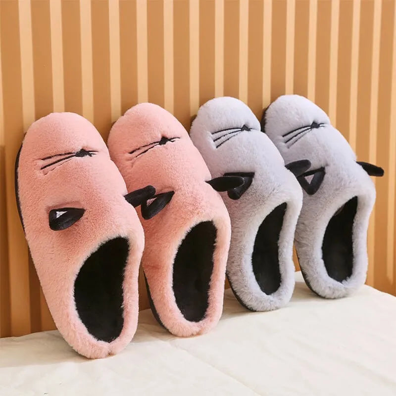 Image Assortiment de Chaussons Chats Moustachus