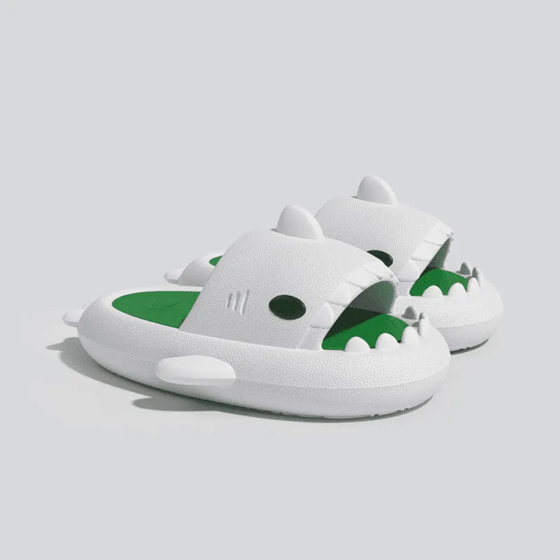 Image Claquettes Requin Blanc Bicolore Blanc et Vert