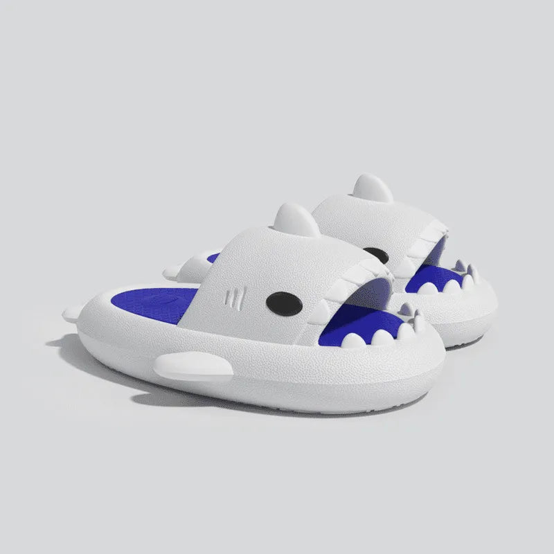 Image Claquettes Requin Blanc Bicolore Blanc et Bleu