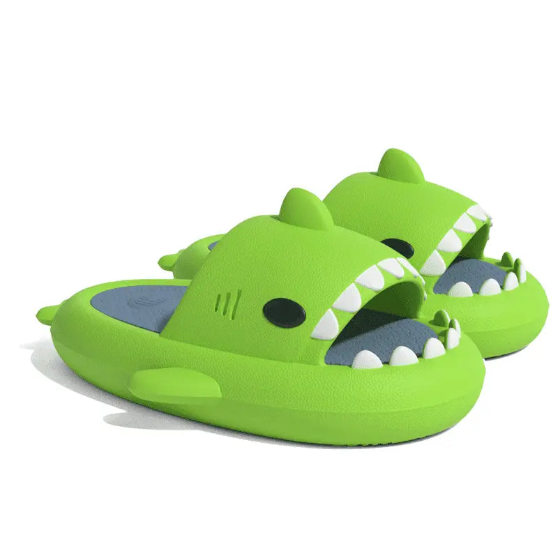 Image Claquettes Requin Vert Bicolore Gris